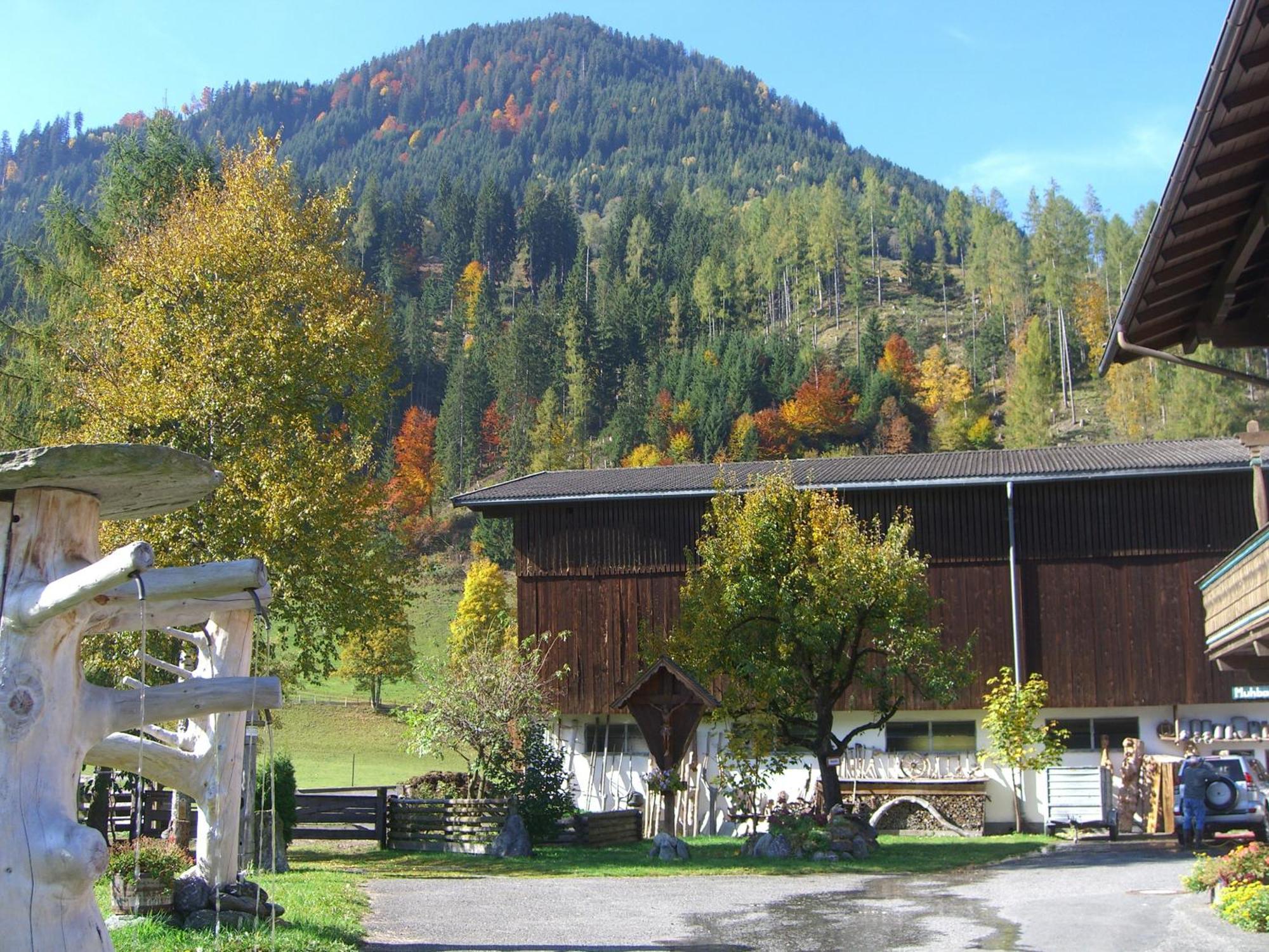 Obersinnlehenhof Apartment *